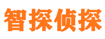 宁城市私家侦探